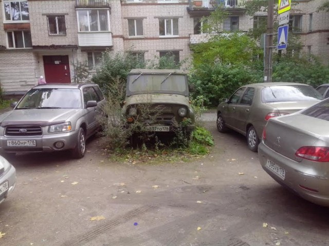 Подборка интересных и веселых картинок