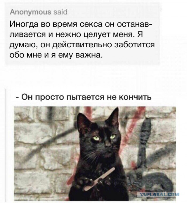 Смешные комментарии 23.04.2017