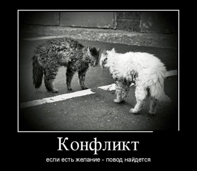 Агреcсивный сосед