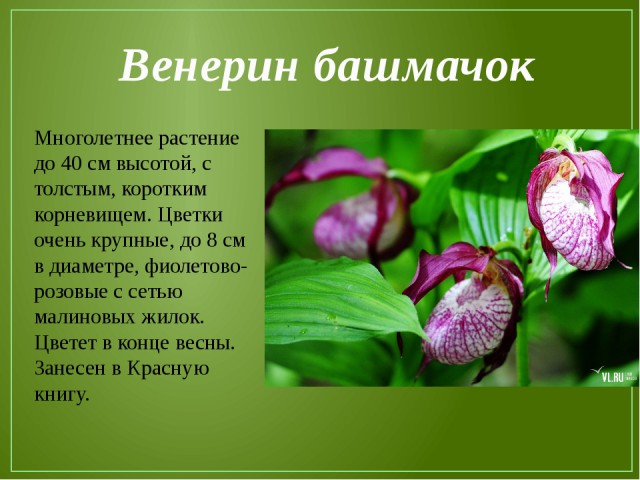 Подборка интересных и веселых картинок