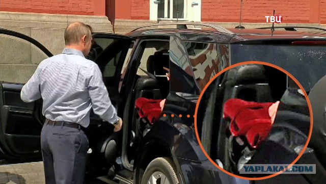 Говорят, красное полусладкое лучше белого полусухого