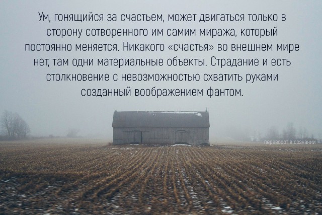 10 откровений академика, который каждый день оперирует мозг