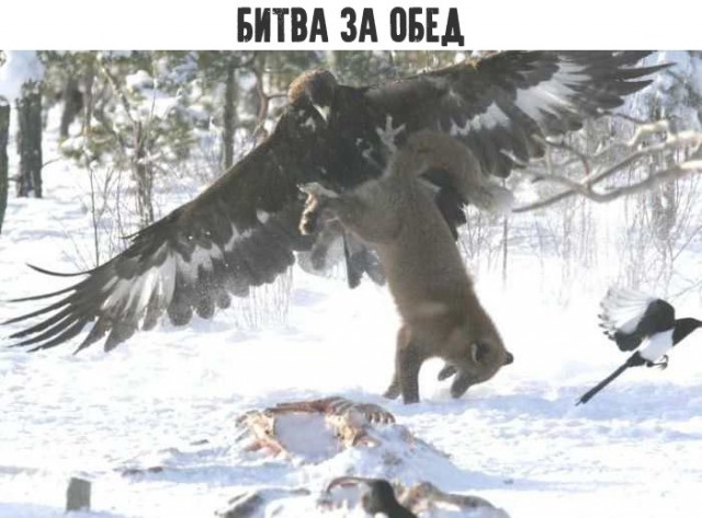 Давайте мозг уже отдохнёт, хорошо?
