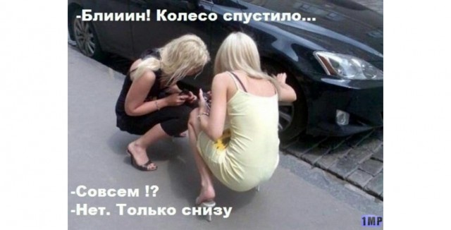 Коротко о женщинах
