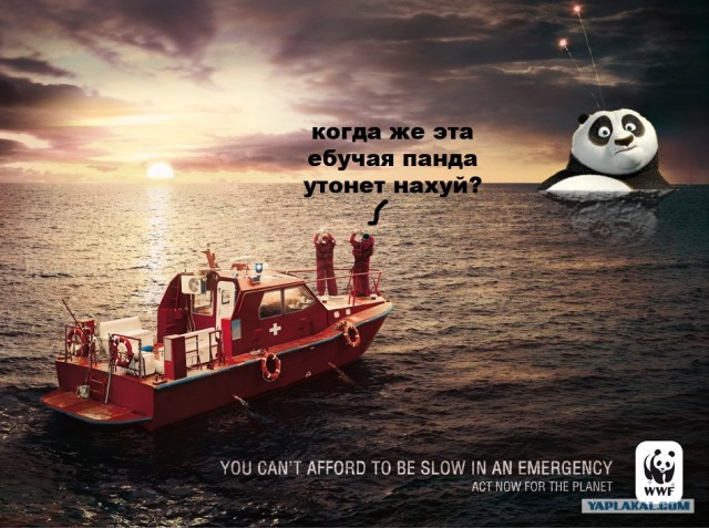 "Спасатели", блин...
