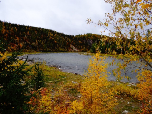 Где-то на Урале лес заменяет людям небо