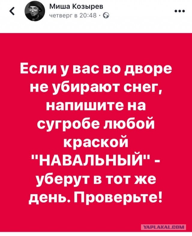 Восставший из комы