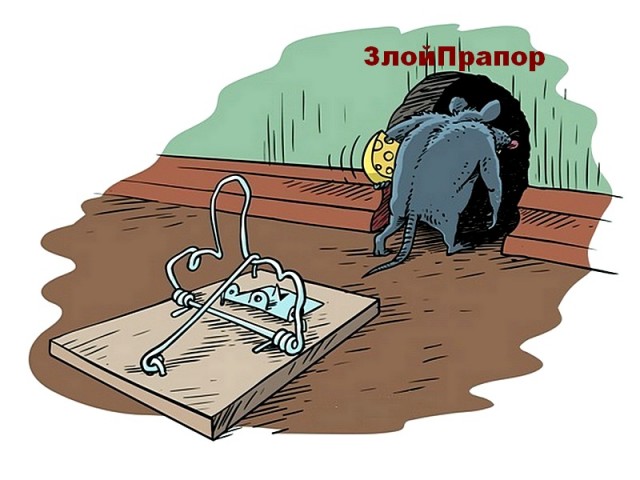 ЯПокатуры от tubdoc62