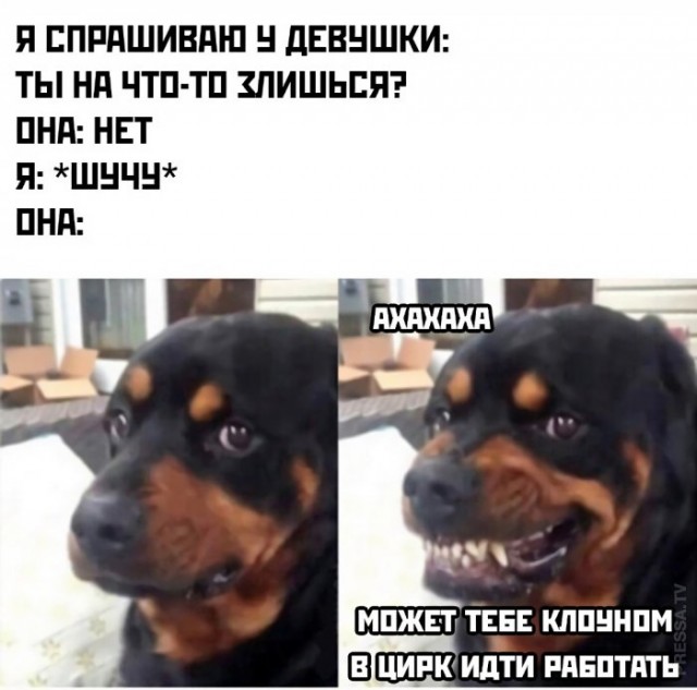 Картинки и мемы для настроения 02.02.2021