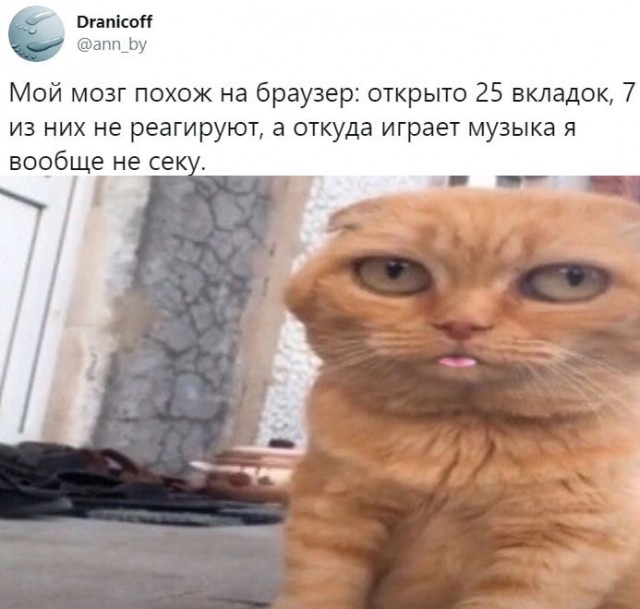 Картинки и мемы для настроения 27.04.2021