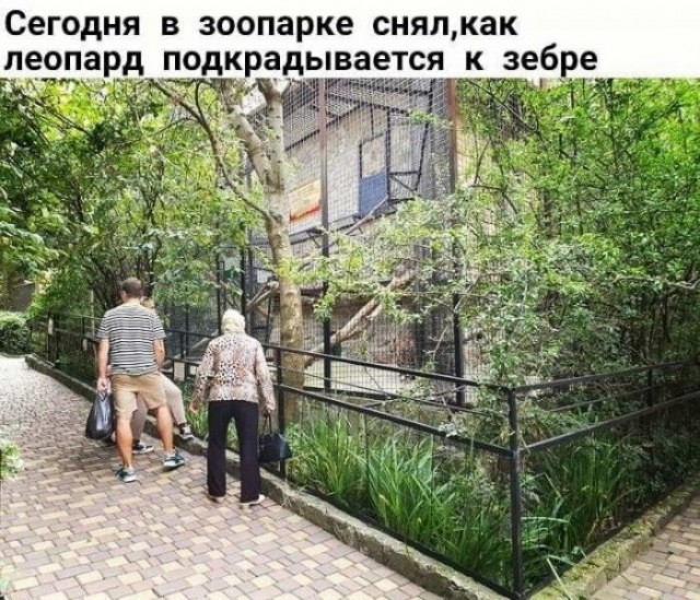Всяческие картинки 09.06.2021
