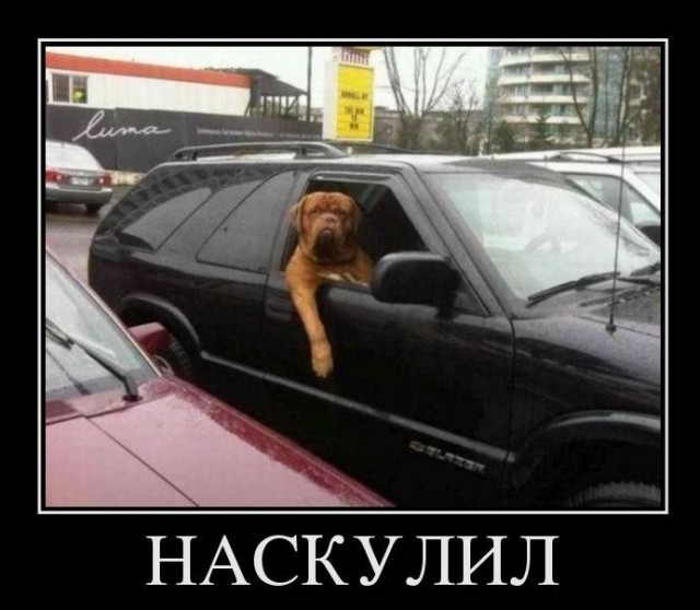 Секретный фотоаппарат продали по цене квартиры в Москве