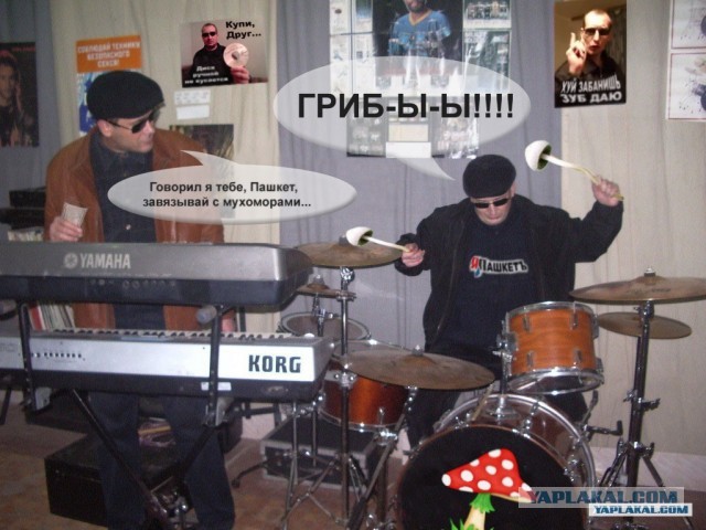 Ответ на так волнующий некоторых вопрос.. (Пашкетт)