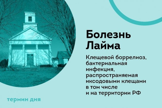 Победная поступь идиотизма по планете – том 5