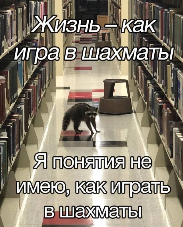 Весёлый полтишок 26.10.23