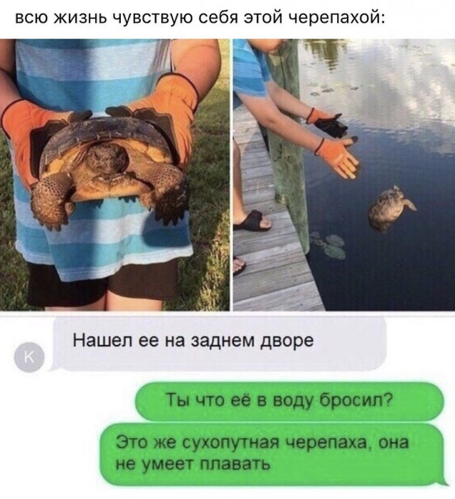 Так себе картинки 27.12.23