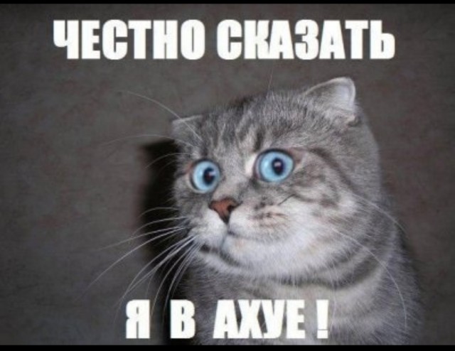 Окружён, но не сломлен