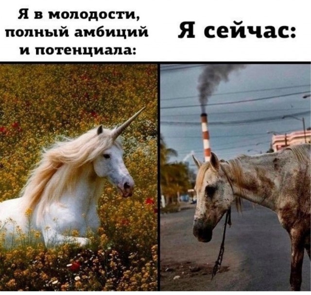 Сборник бабаянов или неожиданная помойка