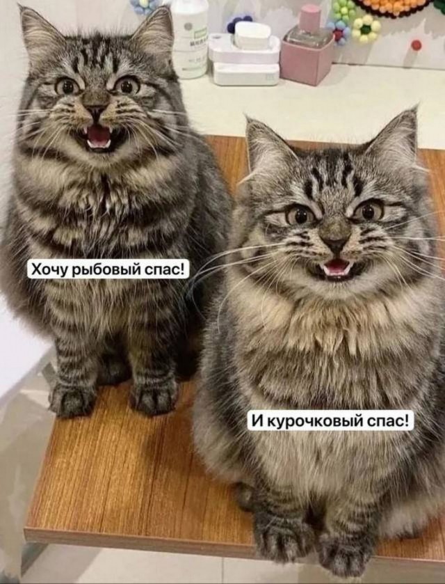 Картинки разные с надписями и без