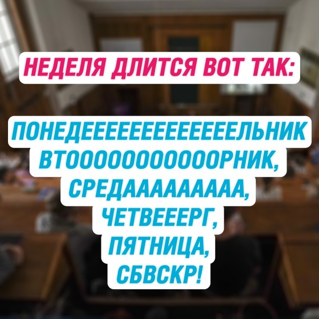 Весёлый полтишок 27.09.24