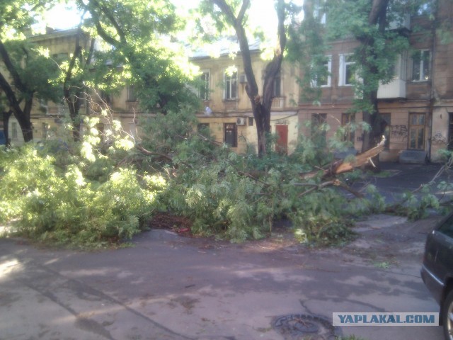 Ураган в Одессе