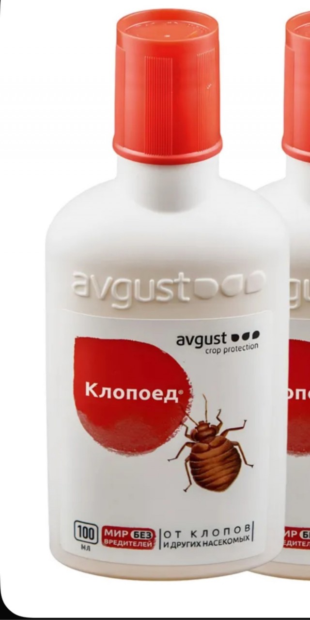 Гады клопастые