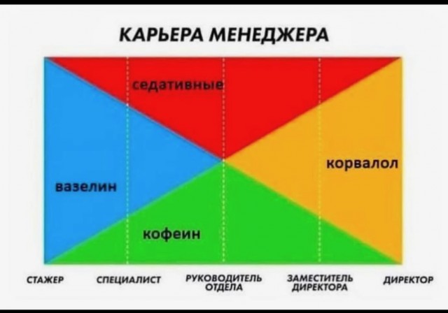 ТРРРидцать тРРРи от 19 июня