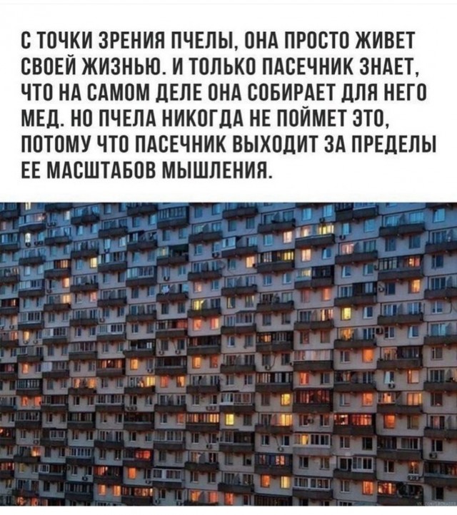 Так себе картинки 22.06.25