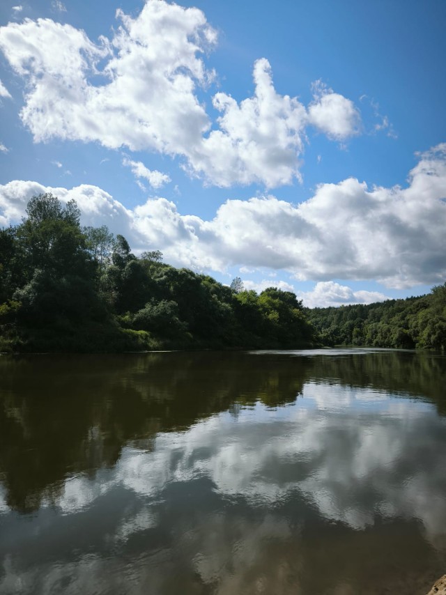Нужно уметь читать знаки...
