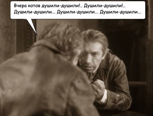 Валуев призвал уничтожать бездомных животных
