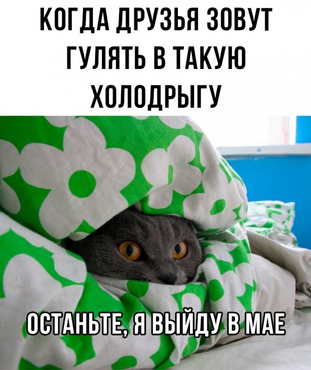А понедельник то ненастоящий...