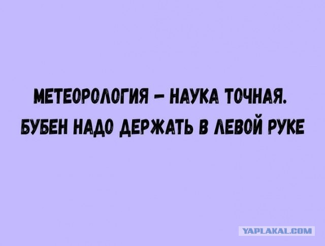 Веселые картинки в пятницу (07.11)