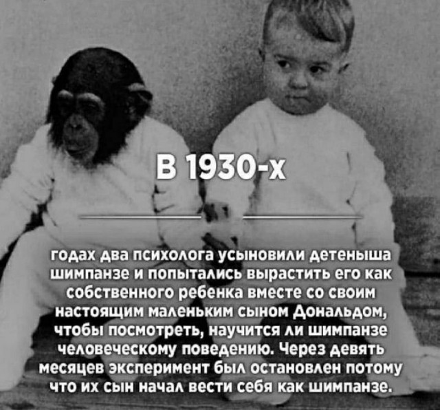 Куча сала 9