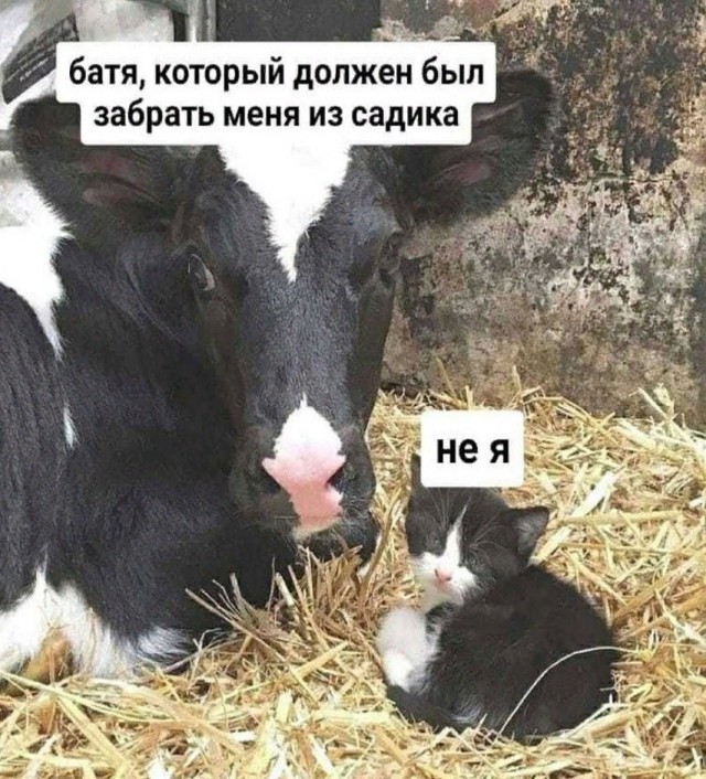 Субботы картинки