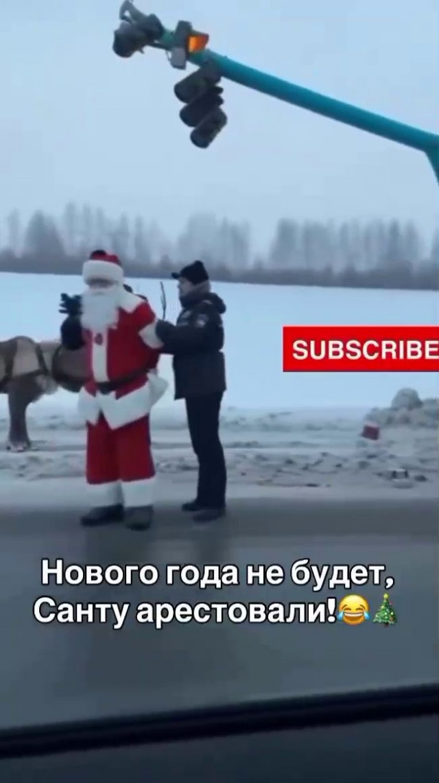 Снегурочка на час обойдётся в 110 тысяч рублей на Новый год
