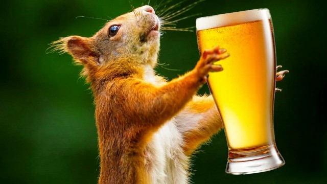 Праздники заканчиваются, последствия остаются.