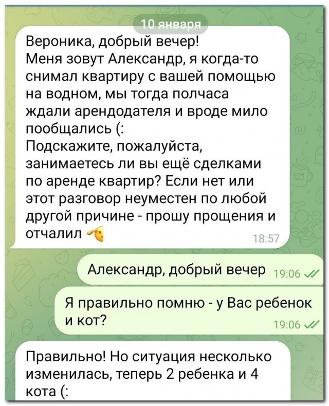 Котическая прогрессия