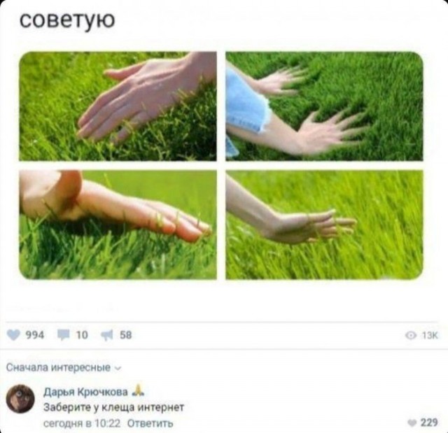 Веселые картинки в пятницу (20.02)