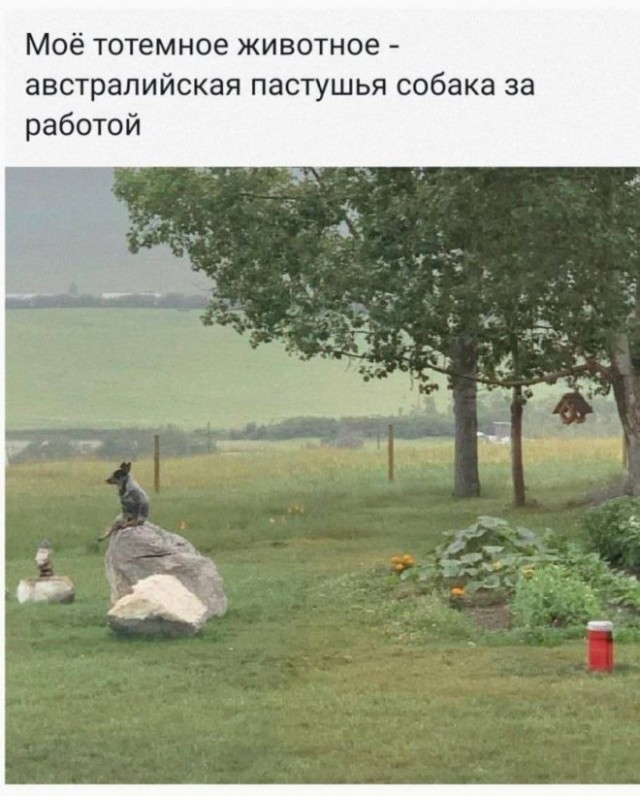 Картиночки, баянчики 24 марта