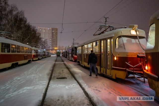 Стало известно, куда исчезли автобусы, купленные к чемпионату мира по футболу