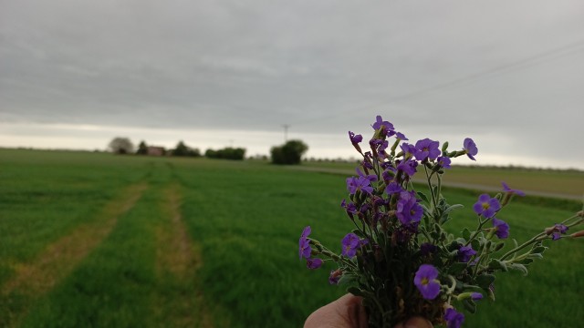 Прогулка по английской глубинке