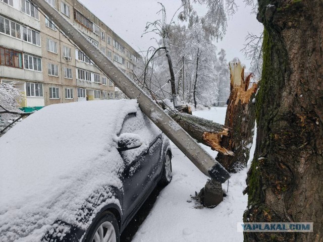Пик высокоэнергетического шторма ожидается в ночь с понедельника на вторник в Подмосковье