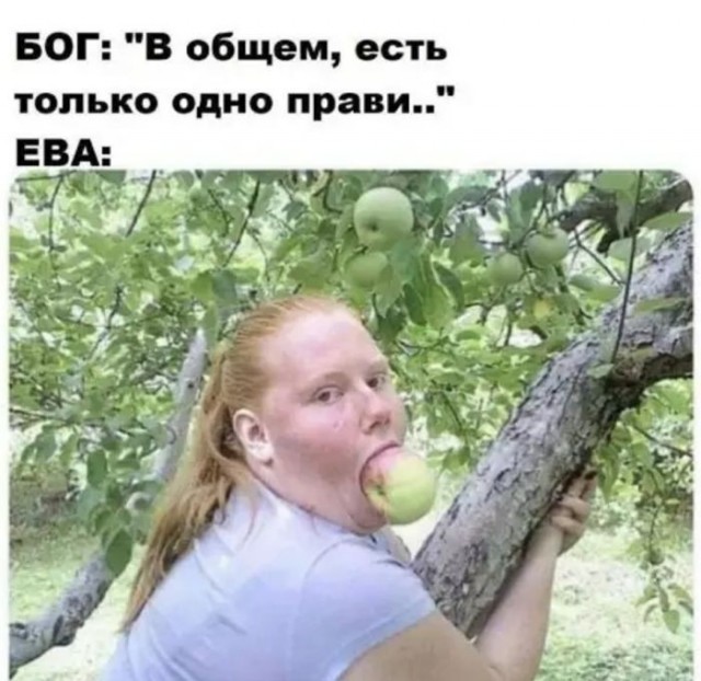 Картинки для деградации 191 (разной степени свежести)