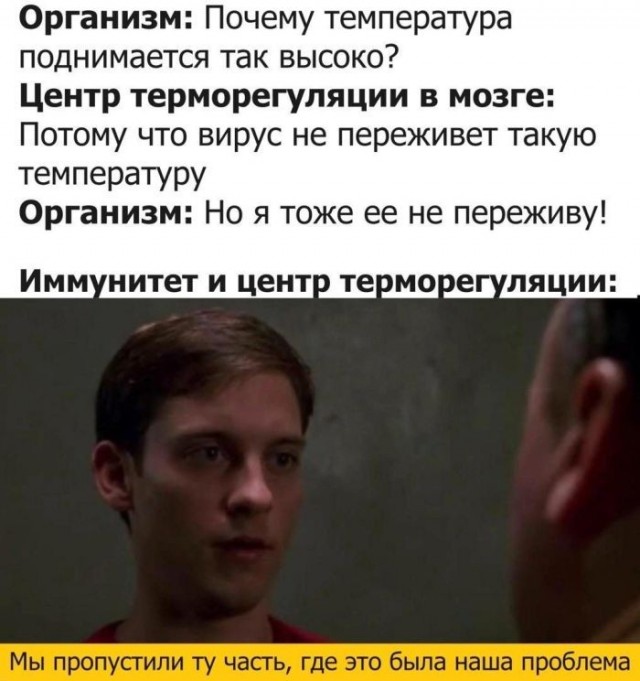 Картинки для деградации 219 (разной степени свежести)
