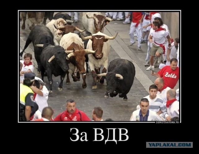 Подай на ВДВ