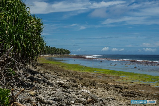 Океания: Фиджи и Тувалу