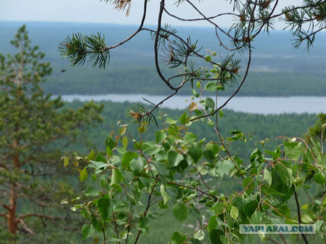 Карелия. р Охта