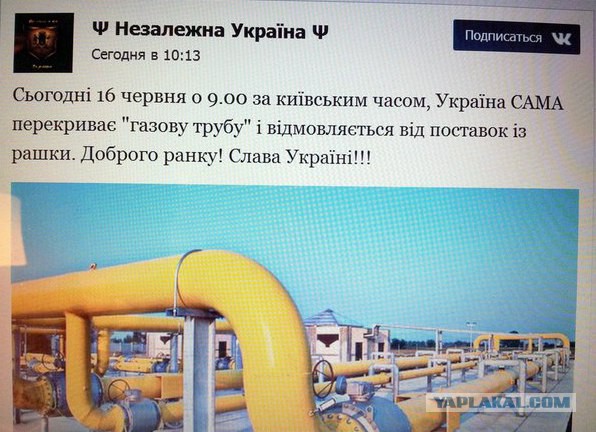 Шах и мат! Так переможемо!