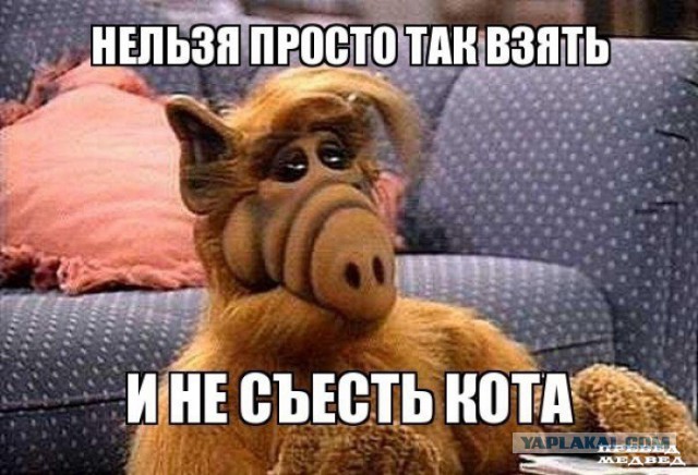 Когда вы плюсуeтe тему в платине