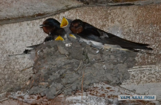 К вылету почти готовы